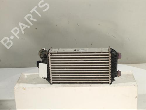 Used Intercooler Intercooler PEUGEOT 208 II (UB_, UP_, UW_, UJ_) 1.2 PureTech 100 (101 hp) 27669105 27669105