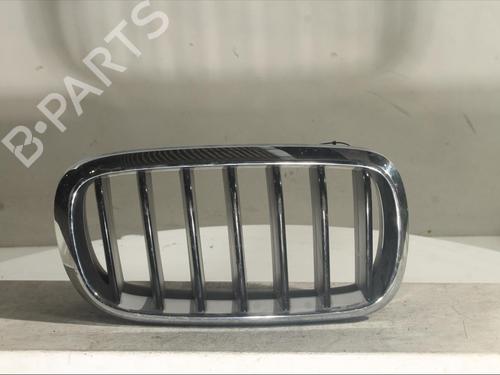 Used Grille Grille BMW X6 (F16, F86) xDrive 30 d (258 hp) 18458375 18458375