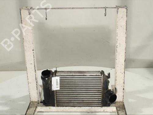 Used Intercooler Intercooler RENAULT MEGANE IV Hatchback (B9A/M/N_) 1.2 TCe 130 (B9MR) (130 hp) 17208313 17208313