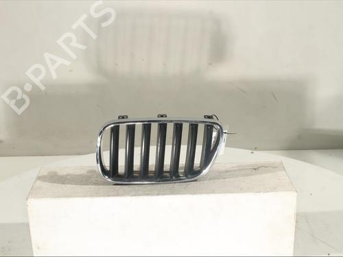 Used Grille Grille BMW X3 (E83) 2.0 sd (177 hp) 18049300 18049300