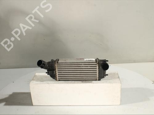 Used Intercooler Intercooler CITROËN C5 III (RD_) 2.0 HDi 165 (RDRHHA, RDRHH8) (163 hp) 29986039 29986039