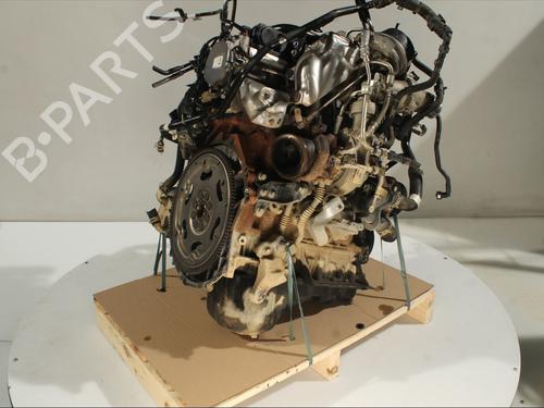 Engine FORD RANGER (TKE) 3.2 TDCi 4x4 | BP33445010M1 - Image 3