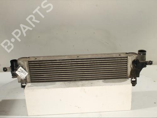 Intercooler NISSAN QASHQAI / QASHQAI +2 I (J10, NJ10, JJ10E) 1.5 dCi | BP28367902M30 