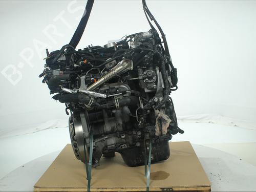 Used Engine Engine FORD FOCUS III 1.5 TDCi (120 hp) 33893308 33893308