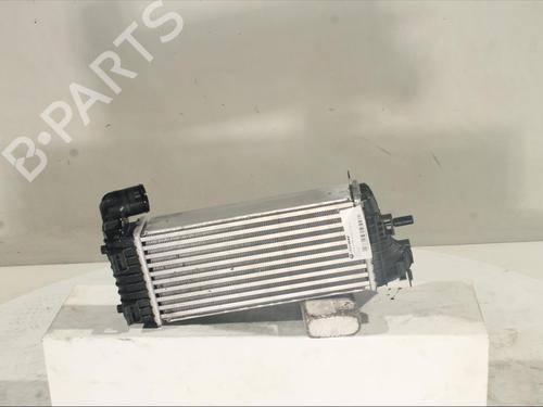 Used Intercooler Intercooler FORD KUGA II (DM2) 1.5 TDCi (120 hp) 20222087 20222087