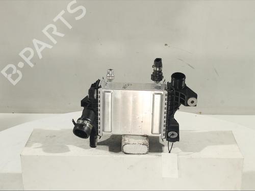 Intercooler FIAT 500X (334_) 1.0 (334.AXN1B) (120 hp) 13246044