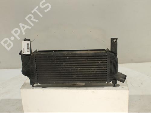 Intercooler NISSAN PATHFINDER III (R51) 2.5 dCi 4WD (171 hp) 29268990