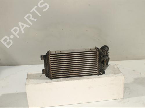 Intercooler PEUGEOT 208 II (UB_, UP_, UW_, UJ_) 1.5 BlueHDI 100 | BP29349606M30 