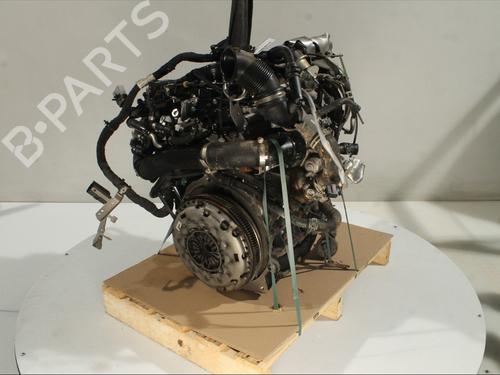 Engine VW TIGUAN (AD1, AX1) 2.0 TDI | BP32333405M1