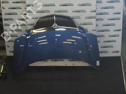 Used Hood LANCIA PHEDRA (179_) 2.0 (179AXA11, 179AXA1A) (136 hp) 12077203