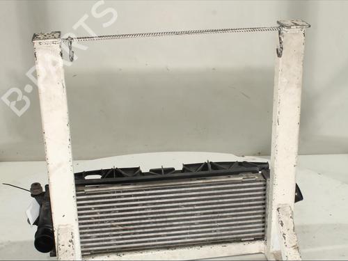 Intercooler RENAULT TRAFIC II Bus (JL) 2.0 dCi 115 | BP17389329M30 