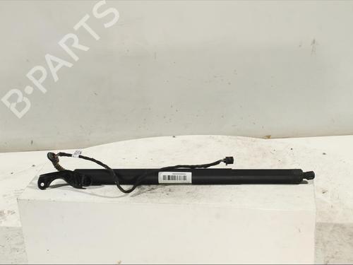 Gassdemper Bakluke AUDI Q3 (8UB, 8UG) [2011-2020]  14525281
