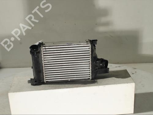 Intercooler DACIA DUSTER (HM_) 1.0 TCe 100 (HMMT) | BP24218607M30 