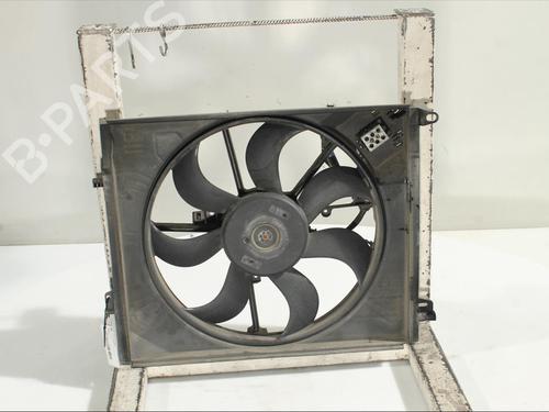 Radiator fan RENAULT TALISMAN (LP_) 1.6 dCi 160 214819674R 214814354RFS2082