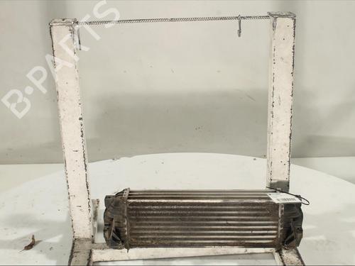 Intercooler FORD TOURNEO CONNECT [2002-2013]  17645769