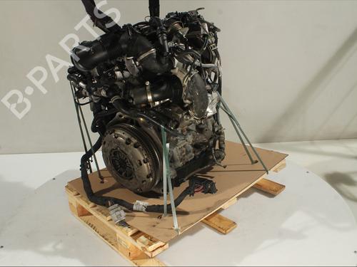 Engine SKODA OCTAVIA III Combi (5E5, 5E6) 2.0 TDI 4x4 | BP29818299M1