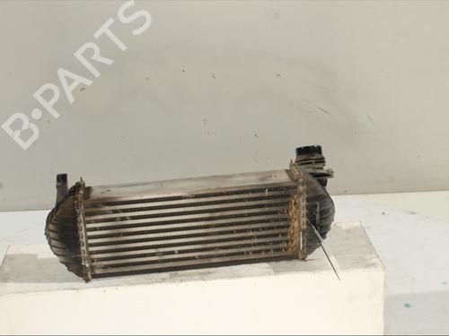 Intercooler RENAULT KANGOO Express (FW0/1_) 1.5 dCi 75 (FW07, FW10, FW04) | BP29173486M30 