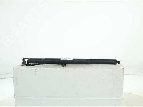 tailgate-lift-support-audi-q3-f3b-2018-37733258 main image