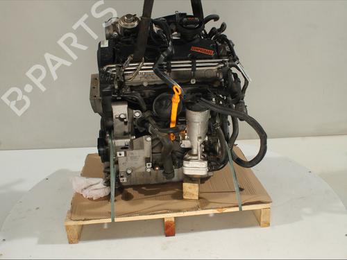 Motor SEAT IBIZA III (6L1) 1.9 TDI (100 hp) 28529605
