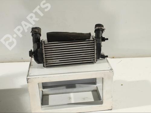 Intercooler FORD FIESTA VII (HJ, HF)  | BP11981480M30 