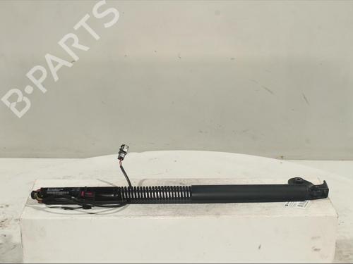 Used Tailgate lift support AUDI A6 Allroad C7 (4GH, 4GJ) [2012-2018]  15264879