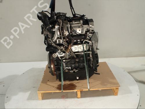 Used Engine VW POLO V (6R1, 6C1) 1.6 TDI (90 hp) 30189013