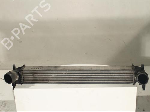 Intercooler SKODA RAPID Spaceback (NH1) 1.6 TDI (90 hp) 20221222