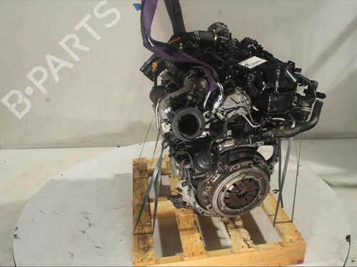 Engine FORD ECOSPORT  | BP20503483M1 