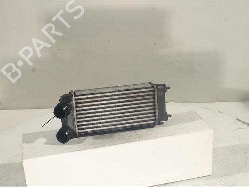 Intercooler CITROËN C4 II (NC_) 1.6 BlueHDi 100 | BP21392691M30 