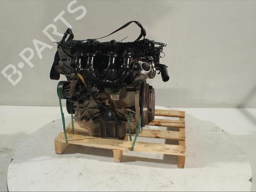 Moteur FORD FIESTA VI (CB1, CCN) [2008-2017]  13402934