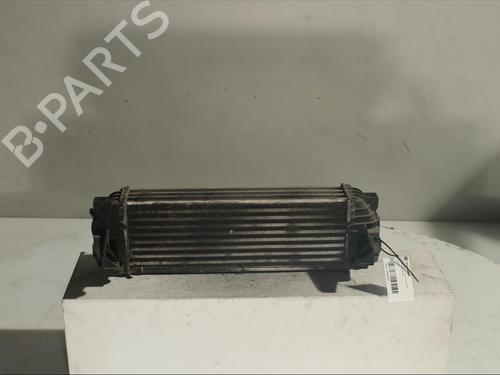 Intercooler FORD TRANSIT CONNECT (P65_, P70_, P80_)  | BP15883972M30 