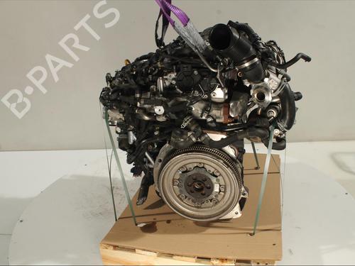 Engine AUDI Q3 Sportback (F3N) 35 TDI | BP27604458M1 