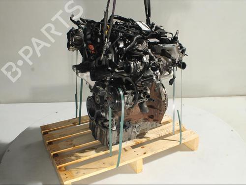 Engine FORD FIESTA VII (HJ, HF) 1.0 EcoBoost | BP25018083M1 