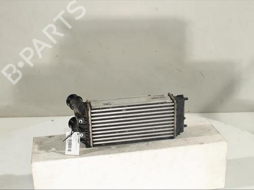 Intercooler DS DS 4 / DS 4 CROSSBACK (NX_) 1.2 THP 130 (NXHNYM) | BP17209158M30 