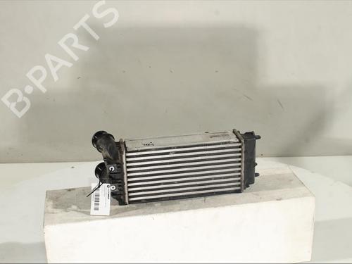 BP17209158M30 | Intercooler DS DS 4 / DS 4 CROSSBACK (NX_) 1.2 THP 130 (NXHNYM) BP17209158M30