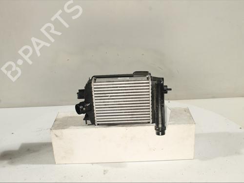 intercooler-renault-arkana-i-lcm_-ldn_-2019-29986164 main image