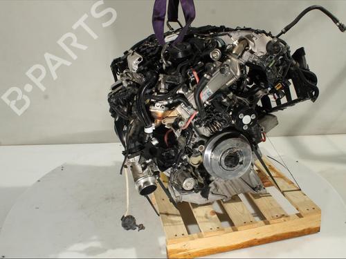 Engine BMW X3 (G01, F97, G08) xDrive 20 d Mild-Hybrid | BP23255245M1 