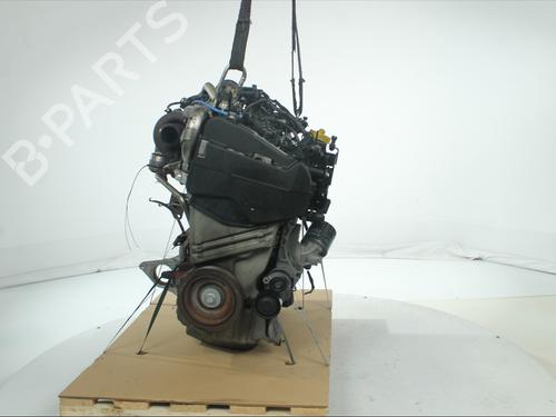 Engine NISSAN QASHQAI II (J11, J11_) 1.5 dCi | BP36873978M1 - Image 5