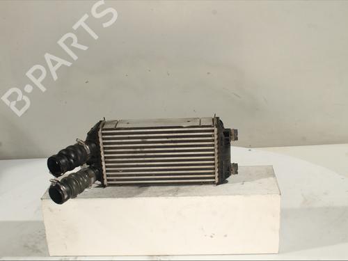 Used Intercooler Intercooler PEUGEOT 208 II (UB_, UP_, UW_, UJ_) 1.5 BlueHDI 100 (102 hp) 29349606 29349606
