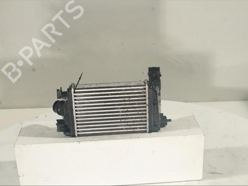 Intercooler DACIA SANDERO III 1.0 TCe LPG | BP22378196M30