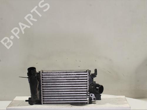 Used Intercooler Intercooler DACIA SANDERO III 1.0 TCe LPG (91 hp) 33279522 33279522