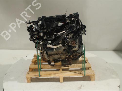 Used Engine Engine FORD ECOSPORT 1.5 TDCi (90 hp) 13819340 13819340