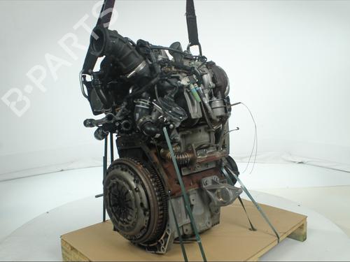 Engine NISSAN QASHQAI II (J11, J11_) 1.5 dCi | BP36873978M1 - Image 3