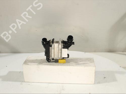 Used Intercooler RENAULT KANGOO / GRAND KANGOO II (KW0/1_) 1.5 dCi 95 (KW16) (95 hp) 30980631