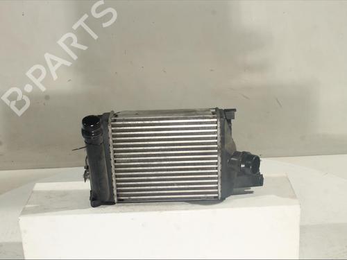 Intercooler RENAULT CAPTUR I (J5_, H5_) 1.2 TCe 120 (118 hp) 20221837