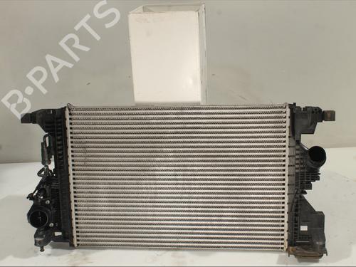 Used Intercooler MERCEDES-BENZ A-CLASS (W177) A 180 d (177.010) (116 hp) 29173397