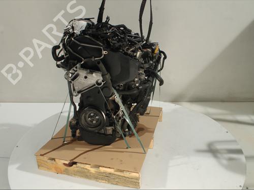 Engine VW GOLF VII (5G1, BQ1, BE1, BE2) 1.6 TDI | BP32433035M1 