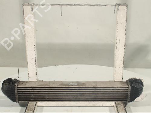 Intercooler MERCEDES-BENZ A-CLASS (W169) A 180 CDI (169.007, 169.307) | BP18299009M30 