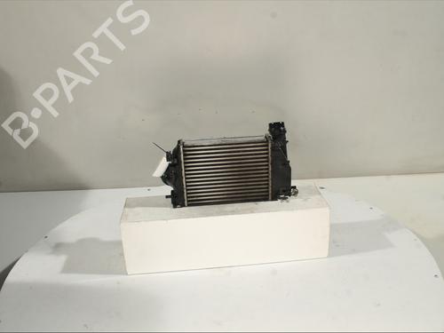 Intercooler RENAULT MEGANE IV Hatchback (B9A/M/N_) 1.5 dCi 110 (B9A3) | BP28577695M30