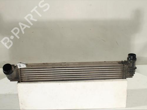 Intercooler RENAULT MEGANE III Hatchback (BZ0/1_, B3_) 1.5 dCi (BZ09, BZ0D, BZ1W, BZ29, BZ14) (110 hp) 17209107